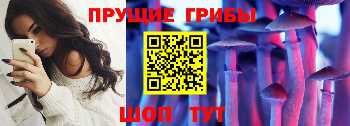 купить   Псилоцибиновые грибы Cubensis  Вход с VPN  Озёрск 